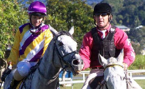 Back to challenge: Borsha’s Warrior, winner of the 2008 Newmarket, has been nominated for the prestigious event tomorrow week. Back to challenge: Borsha’s Warrior, winner of the 2008 Newmarket, has been nominated for the prestigious event tomorrow week.